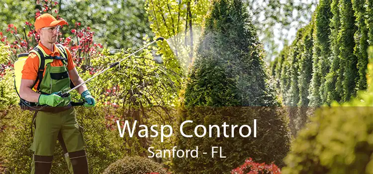 Wasp Control Sanford - FL