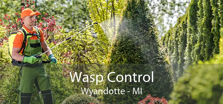 Wasp Control Wyandotte - MI